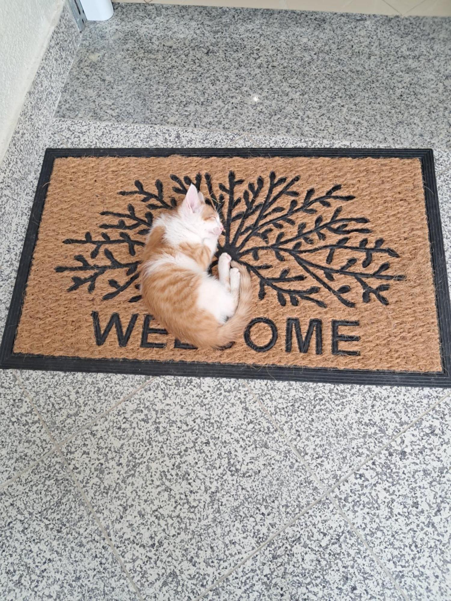 Ida Apartament *